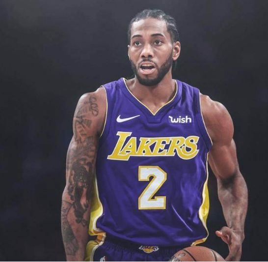 政策含义在 政策含义在